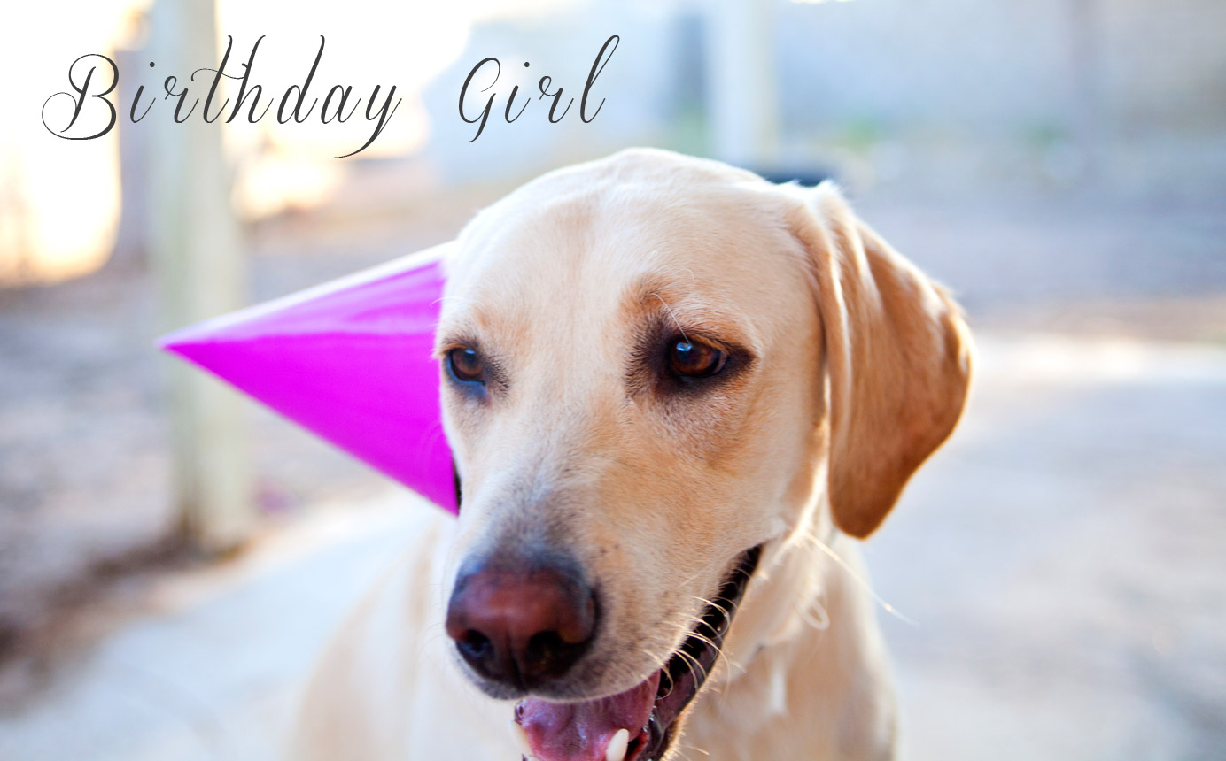 Puppy Birthday Party!