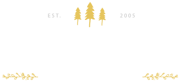 Mandolyn Media
