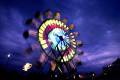 Fair_McConaha11web
