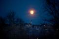 Moonweb-copy